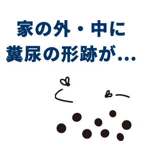 家の外・中に糞尿の形跡が…