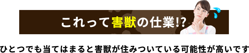 これって害獣の仕業!? ひとつでも当てはまると害獣が住みついている可能性が高いです