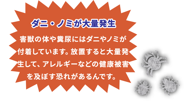 ダニ・ノミが大量発生