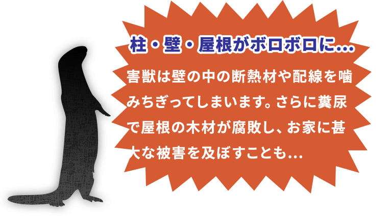 柱・壁・屋根がボロボロに…