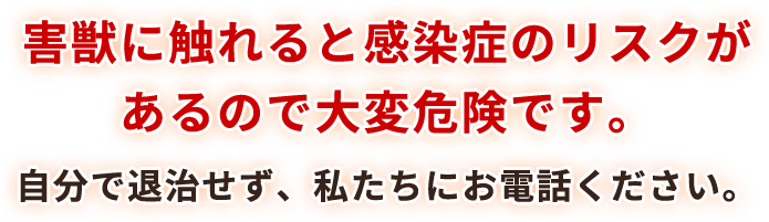 害獣に触れると感染症のリスクがあるので大変危険です。自分で退治せず、私たちにお電話ください。