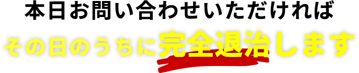 本日お問い合わせいただければその日のうちに完全退治します